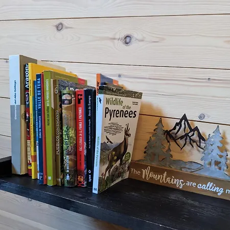 Nornore: Casa Especial En La Montana * Piedrafita de Jaca