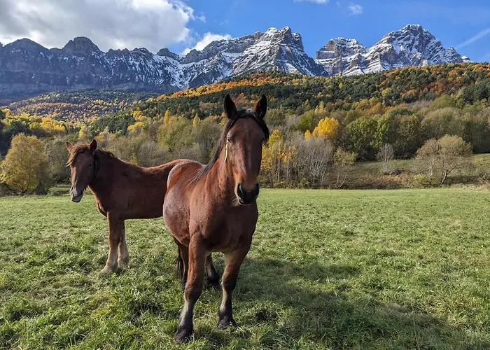 Nornore: Casa Especial En La Montana Σπίτι διακοπών